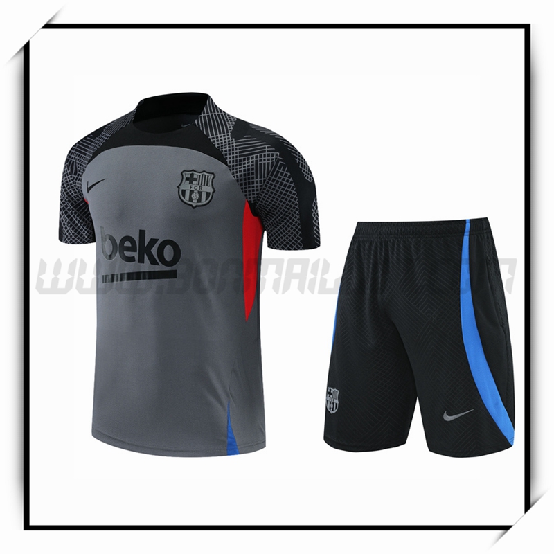 Ensemble Training T-Shirts FC Barcelone + Shorts Gris 2022 2023